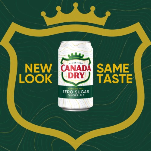 Canada Dry® Zero Sugar Ginger Ale Soda Mini Cans Perspective: back