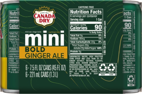 Canada Dry® Bold Ginger Ale Soda Mini Cans Perspective: back