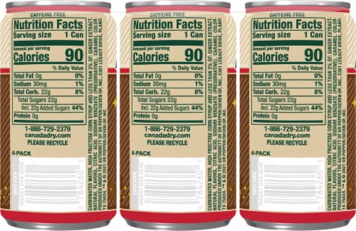 Canada Dry® Bold Vanilla Bean Ginger Ale Mini Cans Perspective: back