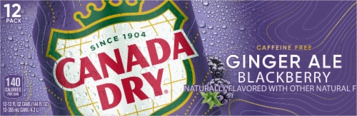 Canada Dry Blackberry Ginger Ale Soda Cans Perspective: back