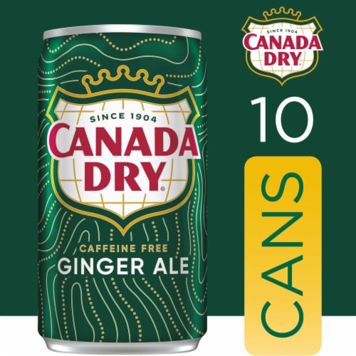 Canada Dry Ginger Ale Soda Mini Cans Perspective: back