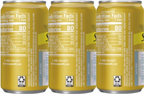 Schweppes Tonic Water Perspective: back