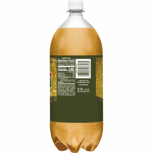 Canada Dry® Bold Ginger Ale Soda Bottle Perspective: back