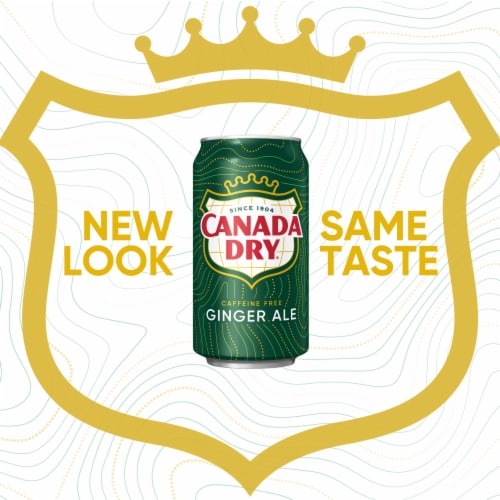 Canada Dry Ginger Ale Caffeine Free Soda Cans Perspective: back
