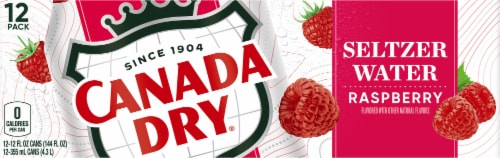 Canada Dry® Raspberry Flavored Sparkling Seltzer Water Cans Perspective: back