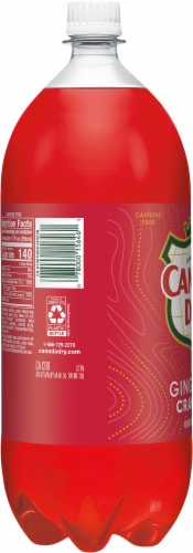 Canada Dry® Cranberry Ginger Ale Soda Bottle Perspective: back