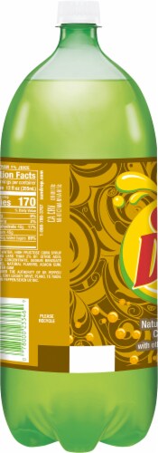 Sun Drop® Caffeine Free Citrus Soda Perspective: back