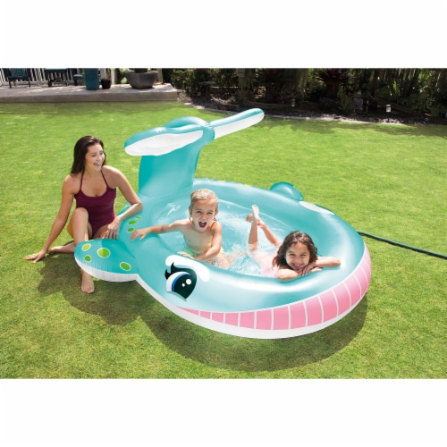 Sola Whale Mini Pool Perspective: back