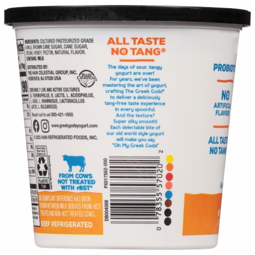 The Greek Gods® Peach with Honey Greek Style Yogurt Tub Perspective: back