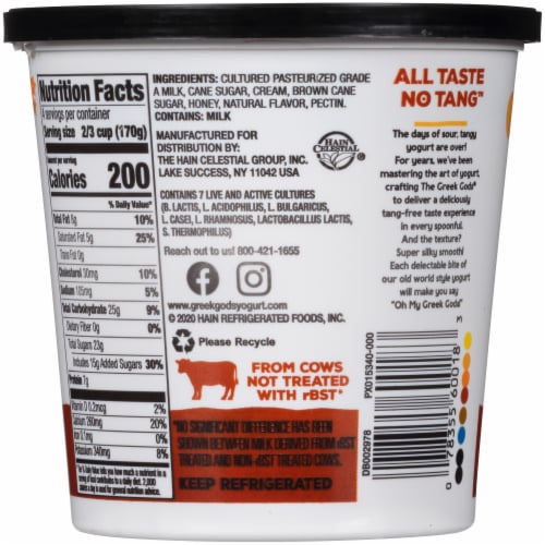 Greek God Limited Batch Yogurt - Pumpkin Spice Perspective: back