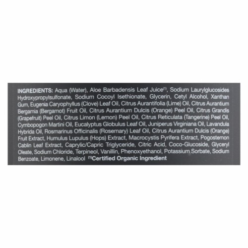 Jason Men's Mountain Spice All-In-One Body Wash Perspective: back