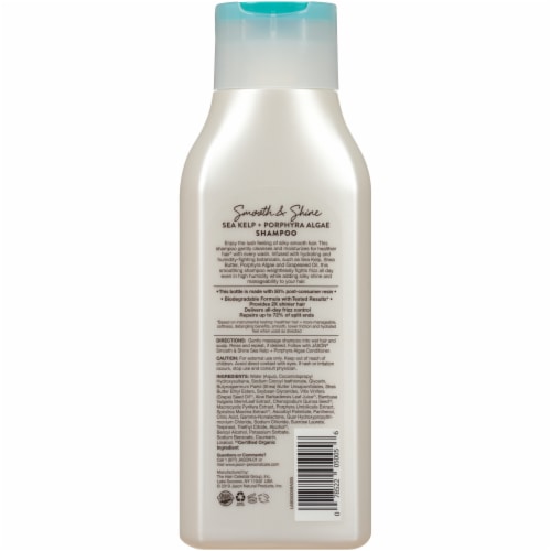 Jason Smooth & Shine Sea Kelp + Porphyra Algae Shampoo Perspective: back
