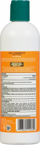 Jason Dandruff Relief Treatment Shampoo Perspective: back