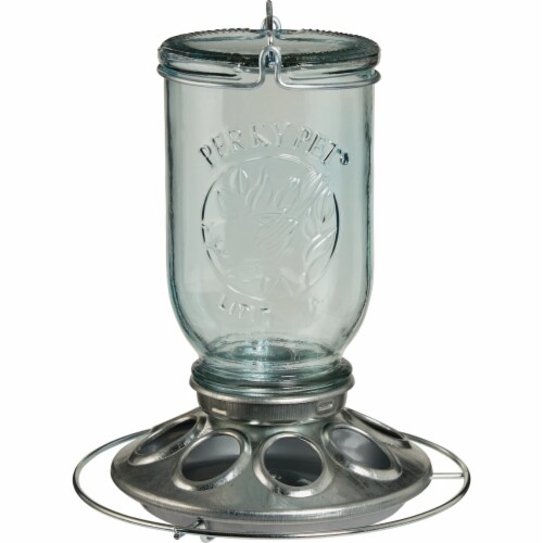 Perky-Pet® Mason Jar Glass Wild Bird Feeder - Blue Perspective: back
