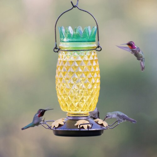 PerkyPet™ Glass Pineapple Top Fill Hummingbird Feeder, 28 oz Baker’s