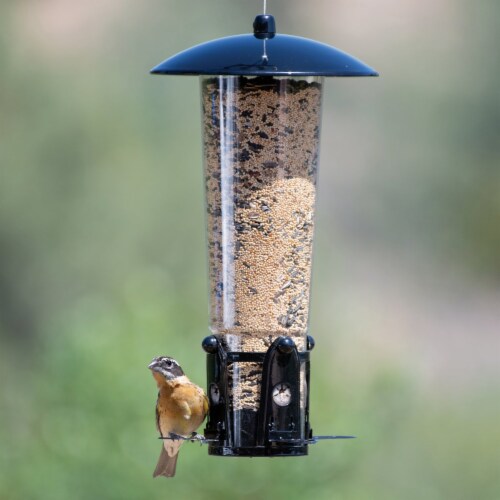 Perky-Pet Squirrel-Be-Gone Max Clear Plastic Bird Feeder with Flexports Perspective: back