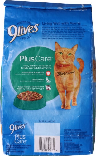 9Lives® Plus Care® Tuna & Egg Dry Cat Food Perspective: back