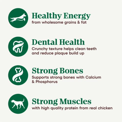 Nutro Natural Choice Chicken & Brown Rice Adult Senior Dry Dog Food Perspective: back