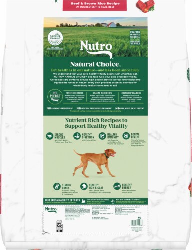 Nutro Natural Choice Beef & Brown Rice Adult Natural Dry Dog Food Perspective: back