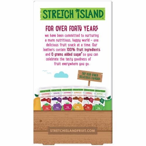 Stretch Island® Raspberry Flavored Fruit Leathers Perspective: back