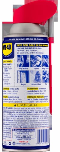 WD-40 Lubricant Spray Perspective: back