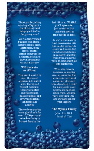 Wyman's® Frozen Wild Blueberries Perspective: back