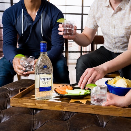 Seagram's Extra Dry Gin Perspective: back