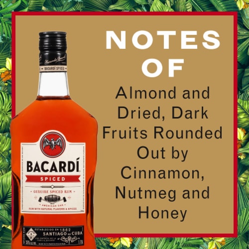 Bacardi Spiced Dark Rum Perspective: back