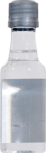 Gilbey's Vodka Perspective: back
