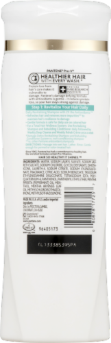 Pantene Pro-V Damage Detox Scalp Care Shampoo Perspective: back
