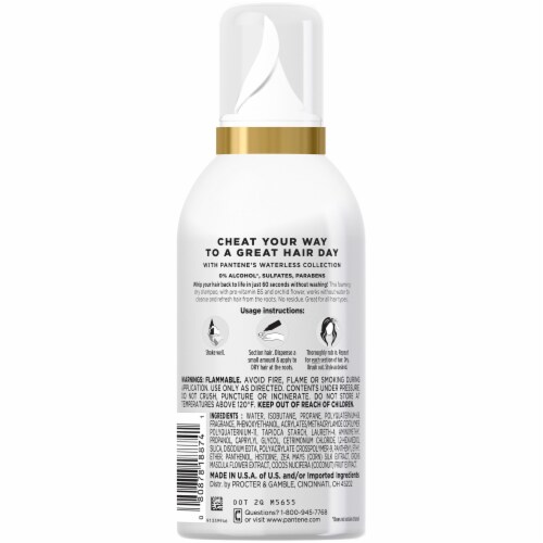 Pantene Pro-V Cheat Day Dry Shampoo Foam Perspective: back