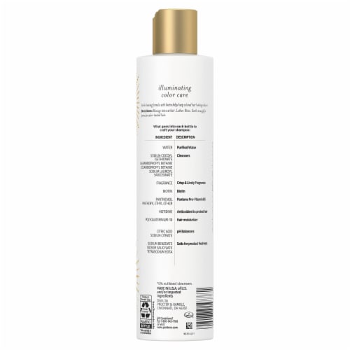 Pantene Illuminating Color Care Shampoo Perspective: back