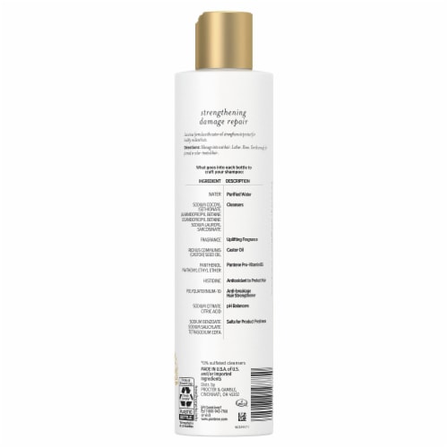Pantene Nutrient Blends Fortifying Damage Repair Shampoo Sulfate Free Perspective: back