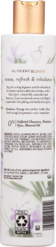 Pantene Pro-V Nutrient Blends Rosemary Shampoo Perspective: back