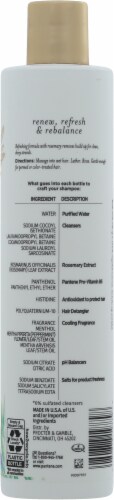 Pantene Nutrient Blends Rosemary Shampoo Perspective: back