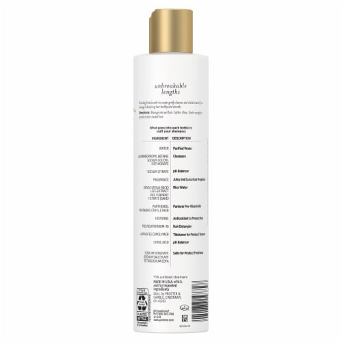Pantene Pro-V Unbreakable Lengths Rice Water Shampoo Perspective: back