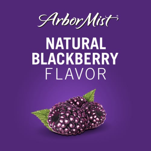 Arbor Mist Blackberry Merlot Sweet Wine Perspective: back