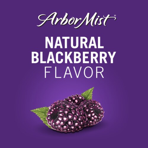 Arbor Mist Blackberry Merlot Sweet Wine Perspective: back