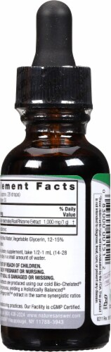 Nature's Answer® Low Alcohol Blue Cohosh Root Extract Herbal Supplement 1000mg Perspective: back