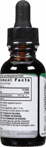 Nature's Answer® Low Alcohol Fo-Ti Extract Herbal Supplement 2000mg Perspective: back