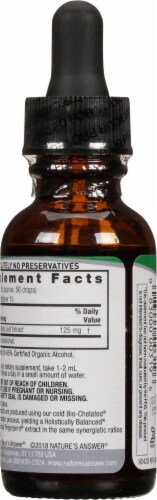 Nature's Answer Ginkgo Biloba Herbal Supplement 500mg Perspective: back