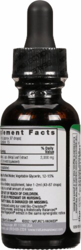 Nature's Answer Nettle Herbal Supplement 2000mg Perspective: back