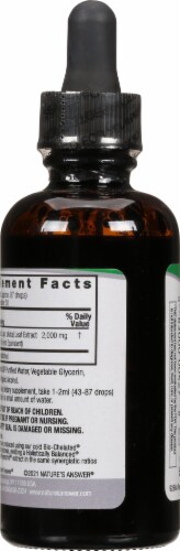 Nature's Answer Nettle Herbal Supplement 2000mg Perspective: back
