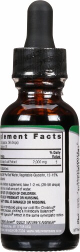 Nature's Answer Plantain Herbal Supplement 2000mg Perspective: back