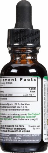 Nature's Answer Ginkgo Biloba Herbal Supplement 500mg Perspective: back