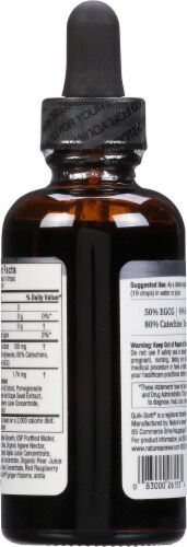 Nature's Answer Platinum Green Tea Liquid Dietary Supplement Perspective: back