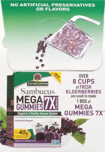 Nature's Answer Sambucus 7X Strength Mega Gummies Perspective: back