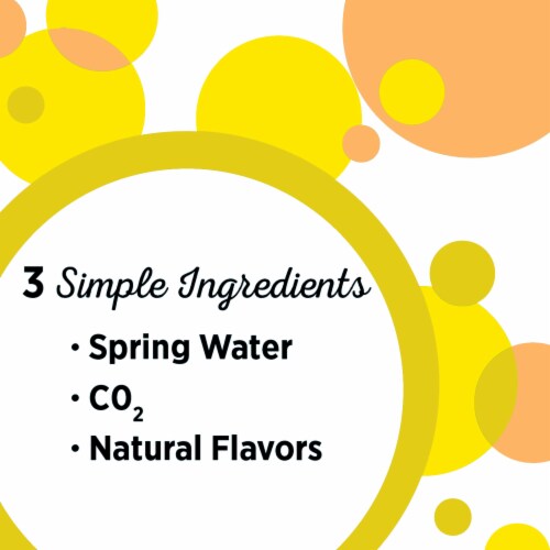 Ice Mountain Lemon Flavored Sparkling Bottled Water Perspective: back
