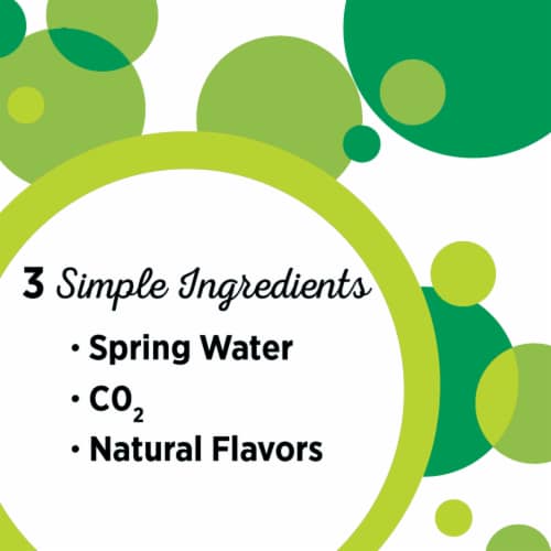 Ice Mountain Lime Flavored Sparkling Bottled Water Perspective: back