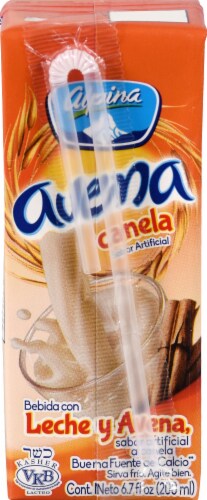 Alpina Avena Cinnamon Oatmeal Smoothie Perspective: back